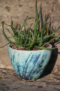 stoneware pot